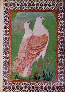 Orientalische Kunst: Zwei Tauben von Indian School