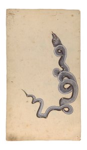 Die Konstellation des Drachen: al-Tinnin, 1740 von Indian School