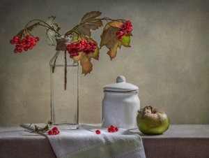 Herbstbeeren und Apfel