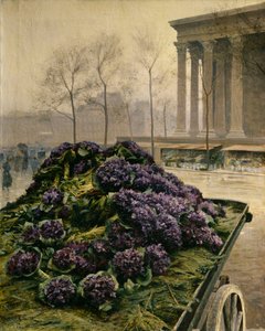 Veilchen aus Nizza, 1902