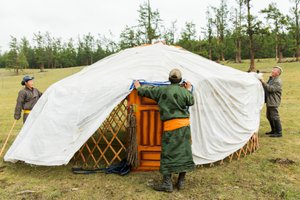 Einheimische bauen eine Jurte in der Nähe des Khövsgöl-Sees in Nordmongolei, 2013 (Foto)