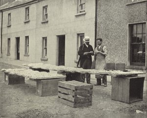 Tonpfeifenherstellung, Drogheda von Irish Photographer