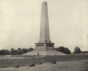Das Wellington-Denkmal, Phoenix Park