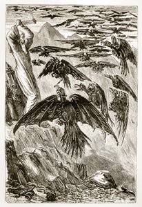 St. Patrick und die Dämonenvögel, aus The Trias Thaumaturga, oder Drei Wunderwirkende Heilige von Irland, von Mary Cusack (1829-99) veröffentlicht um 1890