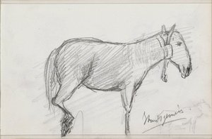 Pferd von Isaac Gosschalk