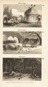 Berufe in Norfolk, Regency-England