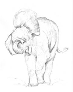 Elefantenbaby 02