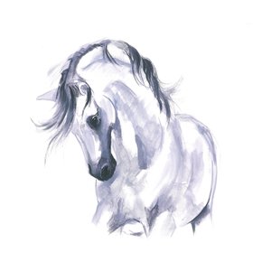 Studie eines Pferdes in Bewegung