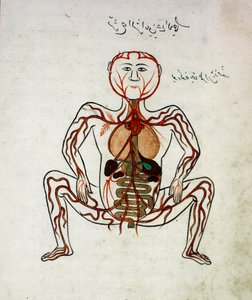 Arabische Medizin: Blutkreislauf und Verdauungssystem, Miniatur aus dem Anatomie-Manuskript Tashrih bi al-Taswir von Mansur ibn Ilyas, 17. Jahrhundert, Istanbul, Universitätsbibliothek