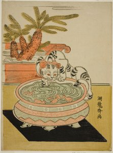 Katze, die nach Goldfischen greift