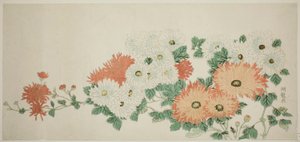 Chrysanthemen von Isoda Koryusai
