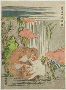 Affe (Saru), aus der Serie "Modische zwölf Tierkreiszeichen (Furyu juni shi)"