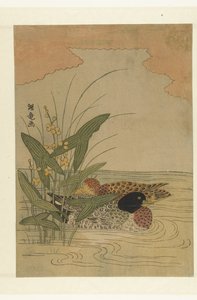 Zwei Enten schwimmen bei gelb blühendem Pfeilkraut von Isoda Koryusai