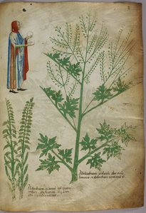 Eine Figur in einem Gewand, die in jeder Hand eine weiße Kugel hält; Pflanzen, um 1440