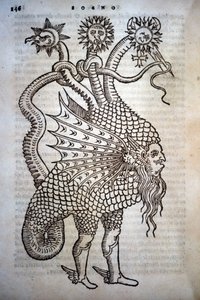 Alchemie: Monster-Hybrid, in „De Transmutatione Metallica Sogni Tre“ von Giovanni Battista Nazari, herausgegeben in Brescia 1599.