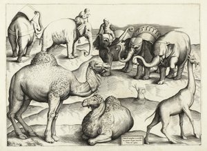 Tiermalereien aus dem antiken Rom, Tafel 3, veröffentlicht von Antonio Lafrere 1528