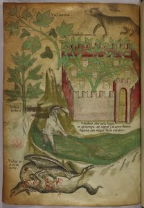 Botanische und tierische Illustration von Pflanzen, einem ummauerten Garten, einem Wolf, einem Mann, der in einem Bach mit einem Netz fischt, und einem Geier, der an einem Tierkadaver pickt, um 1440
