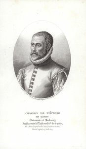 Carolus Clusius von Italian School