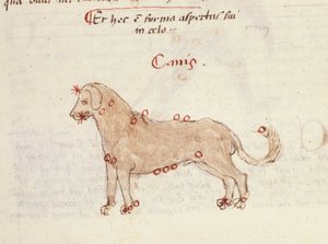Konstellation des Hundes (Canis). Miniatur aus „Astronomica“ von Biasino da Parma (Blaise de Parma) (1425-1457)