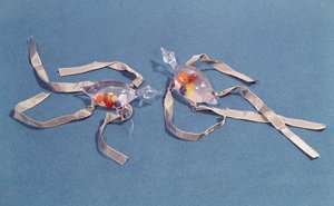 Kopie von zwei medizinischen Thermometern aus dem Museo di Storia della Scienza in Florenz (Glas & Band)