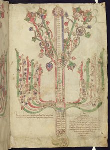 Corpus Christi Oxford MS 255A f.11r Baum, der die Genealogie biblischer Figuren im Neuen Testament darstellt