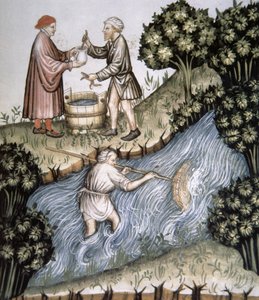 Fischen, Illustration aus Tacuinum Sanitatis Codex Vindobonensis