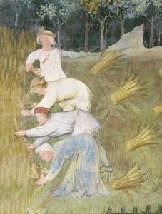 Weizenernte (Detail)