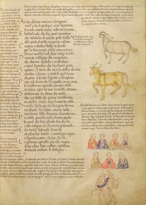 Ms Italien 87 fol.171 Seite, die astrologische Zeichen illustriert, aus 
