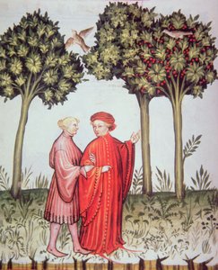 Nova 2644 fol.102v Zwei Freunde gehen zusammen spazieren, aus Tacuinum Sanitatis Codex Vindobonensis von Italian School