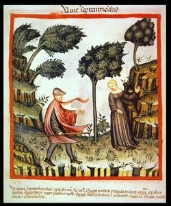 Nova 2644 fol.58v Der Nordwind, aus Tacuinum Sanitatis von Italian School