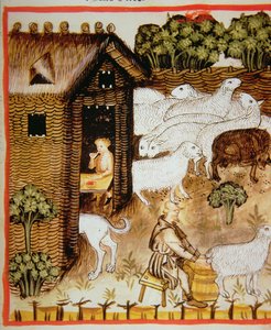 Nova 2644 fol.59r Schafzucht: Süße Milch, aus Tacuinum Sanitatis von Italian School