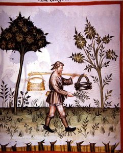 Nova 2644 fol.61v Geronnene Milch, aus 