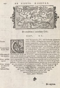 Seite 740 aus Historia De Gentivus Septentrionalibus von Magnus Olaus, Rom 1565 von Italian School