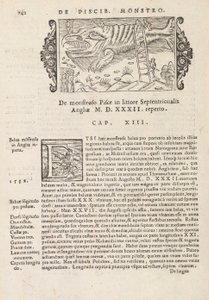 Seite 742 aus Historia De Gentivus Septentrionalibus von Magnus Olaus, Rom 1565 von Italian School