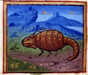 Skorpionzeichen. Italienisches Horoskop, Mitte des 15. Jahrhunderts