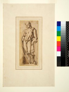 Studie einer antiken Statue von Italian School