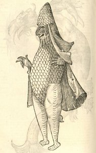Illustration von Monstrum Marinum rudimenta habitus Episcopi referens aus Aldrovandis Geschichte der Monster, 1642 von Italian School
