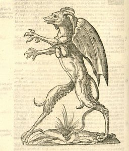 Illustration von Monstrum alatum, & cornutum instar Cacodaemonis aus Aldrovandis Geschichte der Monster, 1642 von Italian School