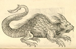 Illustration von Orobonis Piscis effigies aus Aldrovandis Geschichte der Monster, 1642 von Italian School