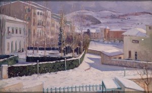 Verschneites Olot