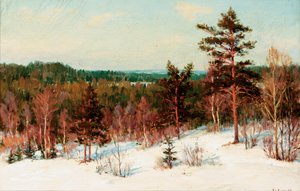 Winter - Blick über den Wald