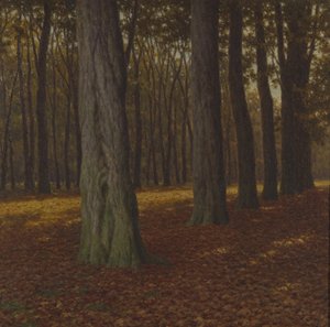Waldlandschaft