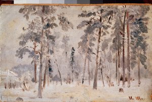 Raureif von Ivan Ivanovich Shishkin
