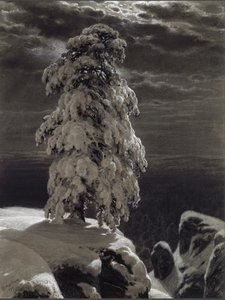 In den Wildnissen des Nordens, 1890 von Ivan Ivanovich Shishkin