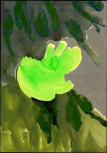 Kensington Gardens Serie: Leaf Cascade, 2007 von Izabella Godlewska de Aranda
