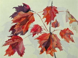 Nr. 24 Herbst-Ahornblätter von Izabella Godlewska de Aranda