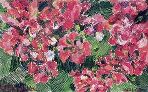 Rhododendron, 1962