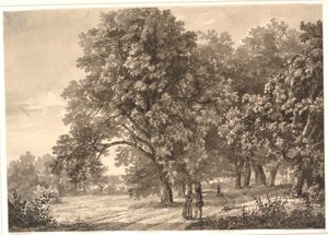 Ansicht einer Straße in einem Wald bei Sorø, Seeland von Johan Christian Dahl