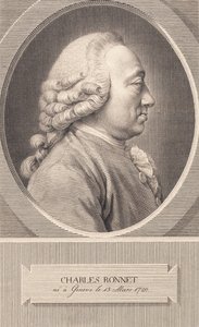 Charles Bonnet von J.F. Clemens