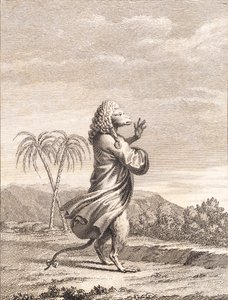 Ein martiniquischer Affe von J.F. Clemens